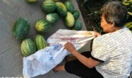 南充吃瓜最新事件爆料,揭秘背后惊人真相